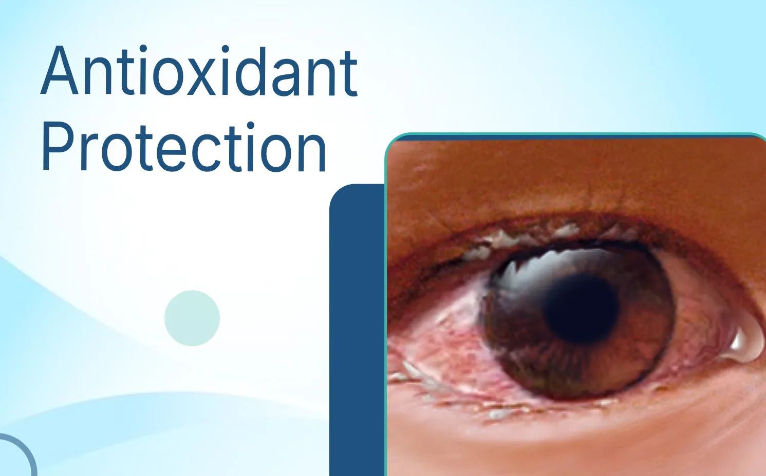 Antioxidant Protection