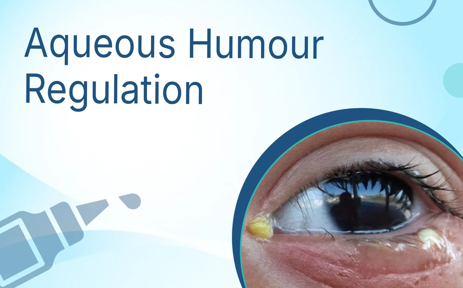 Aqueous Humour Regulation